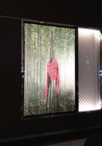 Backlit window graphic printing and installation for Louis Vuitton store in downtown Montreal