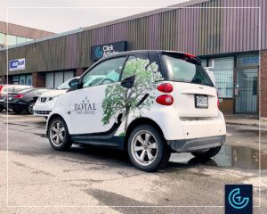 Vehicle lettering on a micro car 2012 Smart Fortwo Pure for Royal Tree Service