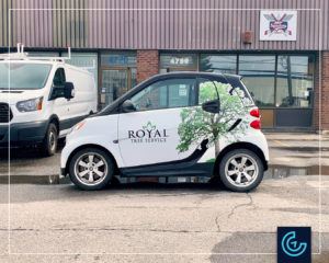Vehicle lettering on a micro car 2012 Smart Fortwo Pure for Royal Tree Service