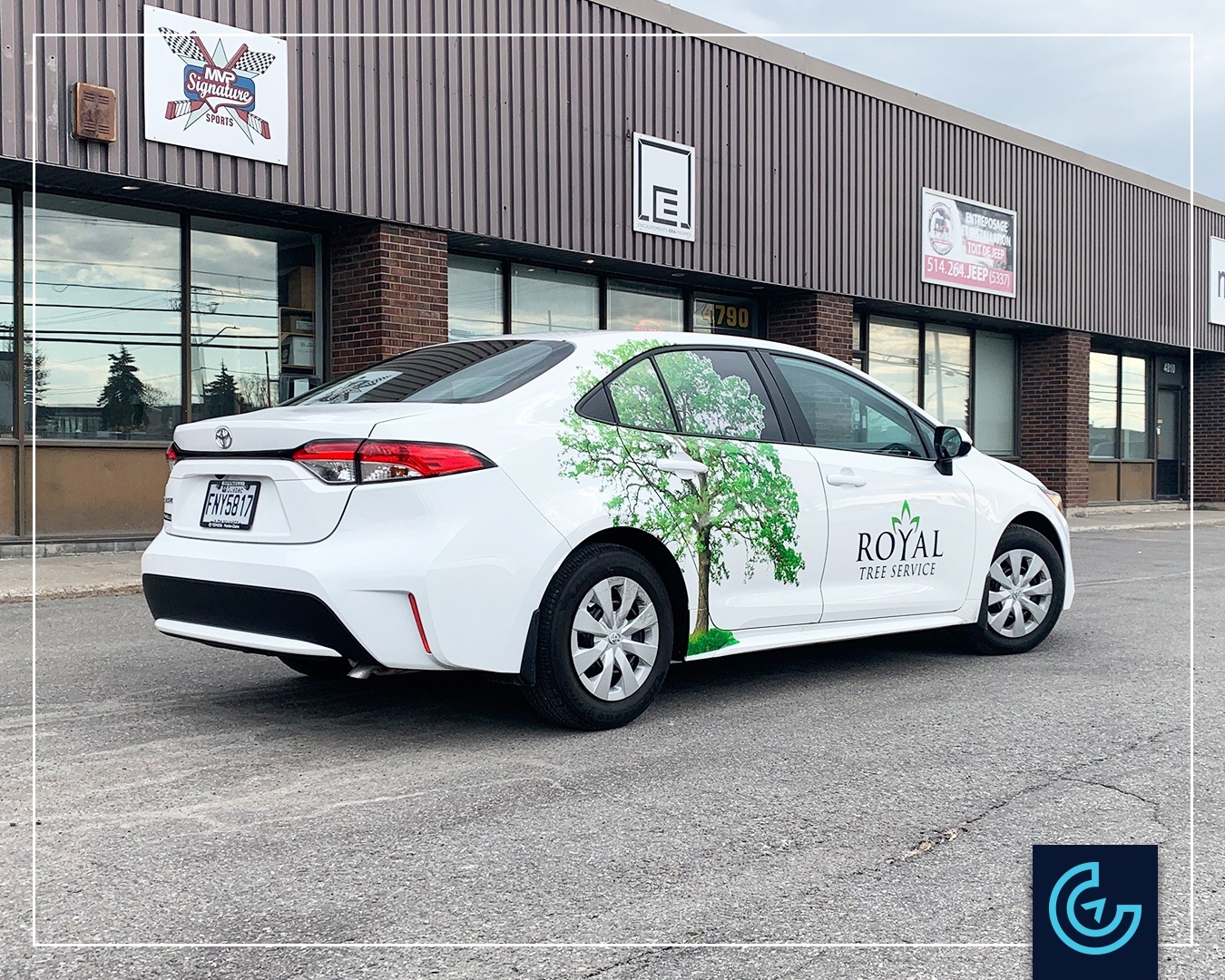 Vehicle lettering on a sedan car 2021 Toyota Corolla for Royal Tree Service