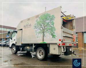 Truck lettering on Hino 195 truck with a custom production box for Royal Tree Service